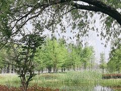 -嘉北郊野公园
