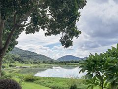 -风云岭森林公园