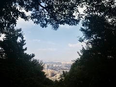 -惠山国家森林公园