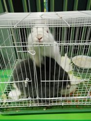 -维佳童话镇演出现场(徐东店)