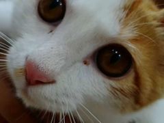 -佳怡动物医院·平价24小时·猫专科骨外科