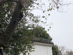 -广州西关永庆坊旅游区