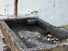 -丝绸小镇荻港古村