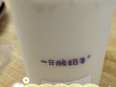 -一只酸奶牛(锦城万达天虹店)
