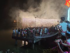 -广西壮族自治区药用植物园
