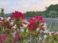 -天鹅湖体育公园