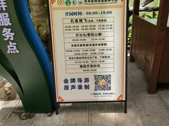 -西双版纳原始森林公园