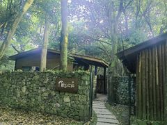 -杭州植物园