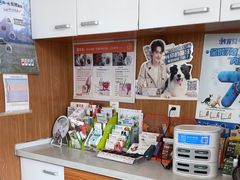 -瑞派雷欧宠物医院·中兽医·眼科·急重症转诊中心(黄台店)