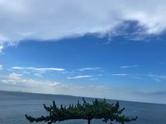 -养马岛旅游度假区