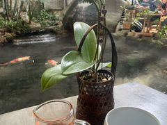 -The Flowers Coffee(南山店)