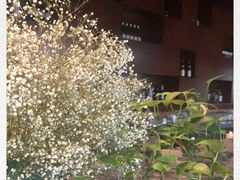 -重庆融汇国际酒店17楼·泉籁泰餐厅(沙坪坝店)