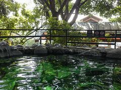 -湖泉半山温泉