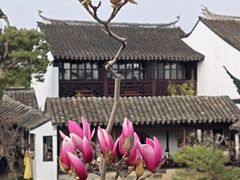 -苏州市皮市街花鸟工艺品市场