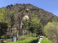 -北京鹫峰国家森林公园