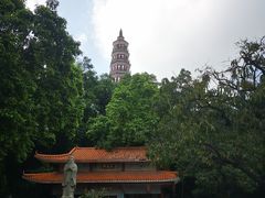 -顺峰山公园