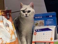 -帕帕拉兹宠物(亚洲旗舰店)