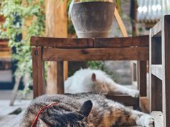 -创艺无限·赵春香微妙艺术馆