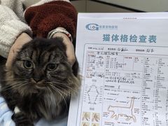 -格蕾宠物医院24H·猫科·肿瘤科·骨科中心(福州总院)
