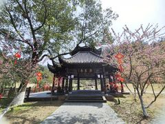 -常德桃花源景区