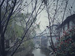 -羊楼洞