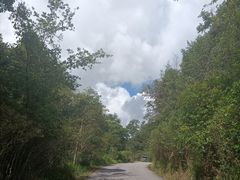 -普洱太阳河森林公园