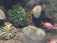 -苏州海洋馆