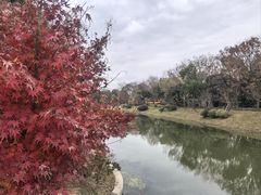 -上海海湾国家森林公园