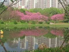 -堤角公园
