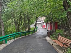 -白水寺森林公园