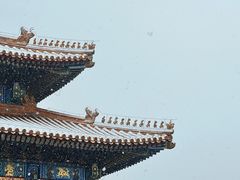 -故宫博物院(故宫)