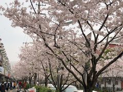-永乐路-路侧停车场