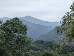 -青城山