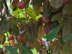 -狼山风景名胜区