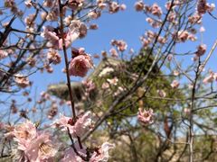 -鹫峰国家森林公园