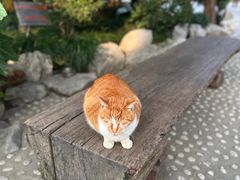 -龙华寺