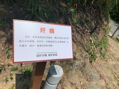 -羚羊峡古栈道森林公园
