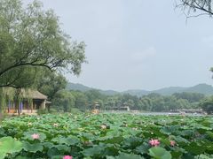 -承德避暑山庄景区