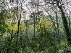 -帽儿山国家森林公园