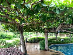 -三亚亚龙湾天域度假酒店