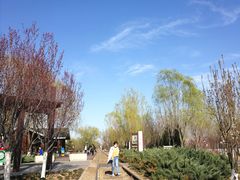 -永定河休闲森林公园