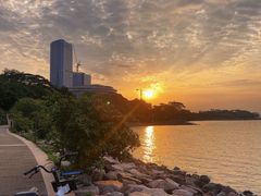 -深圳湾公园(南山区)