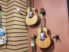 -柏斯琴行(汾阳店)