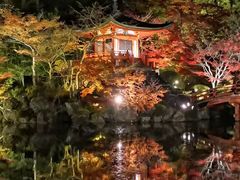 -醍醐寺