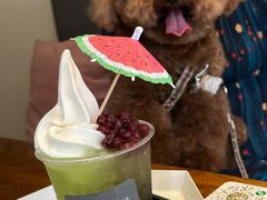 -茶是一枝花泡茶店