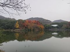 -白马涧龙池景区