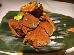 -打酱油·非遗淮扬菜(瘦西湖梅岭店)