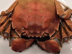 -王宝和酒家(黄浦店)