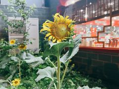 -教师之家赵家羊汤馆(东青龙街店)