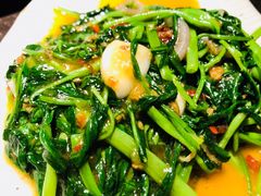 马兰盏空心菜-泰傳奇